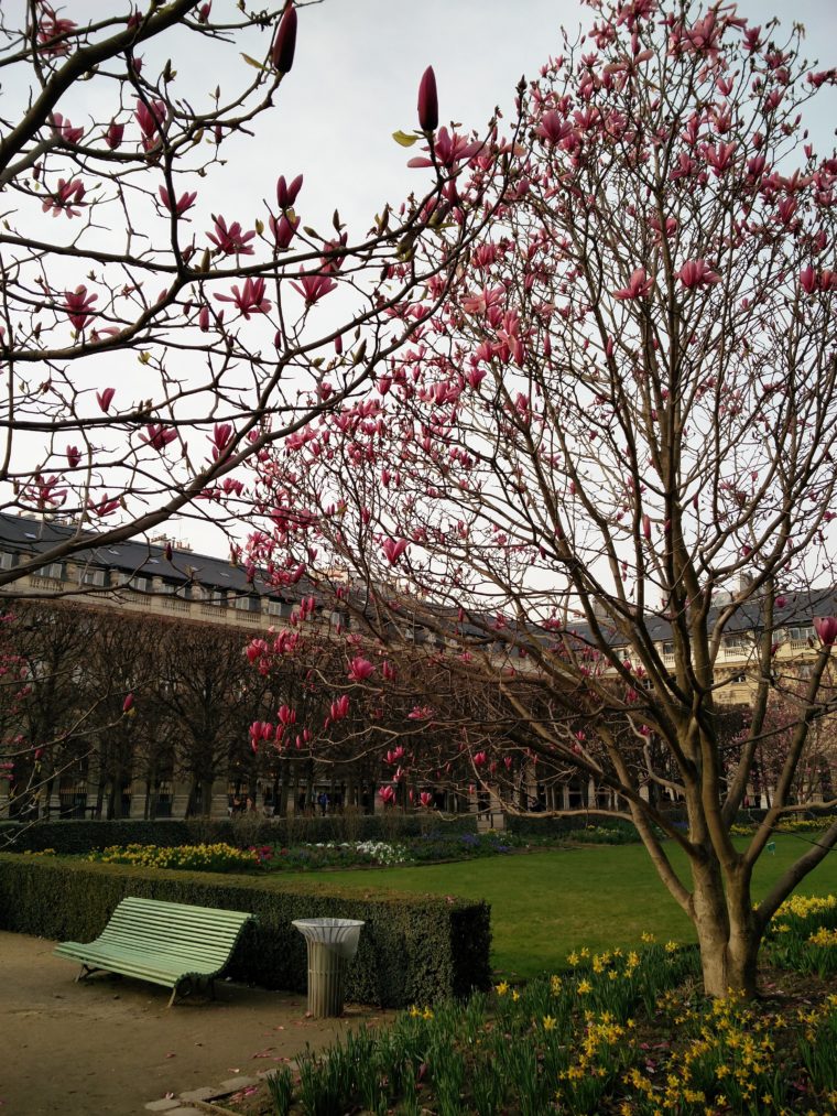 paris-montmartre-villa-leandre-c-w-bound