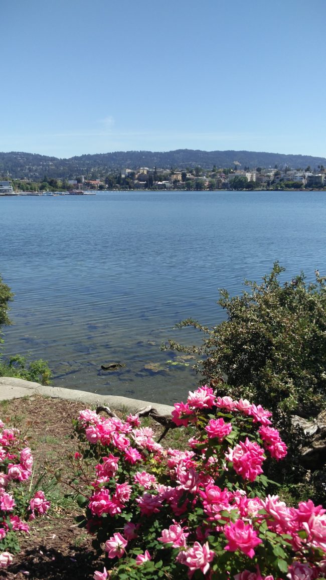 oakland-lake-meritt