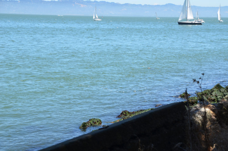 angel-island-seal-cove-c-w-bound