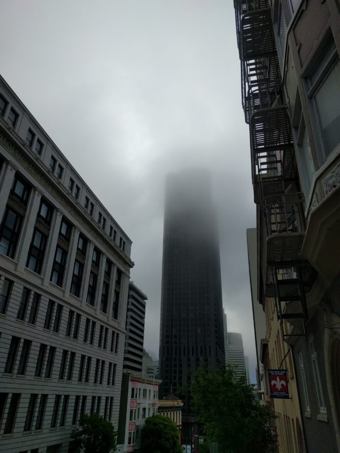 sf-pine-street-fog-fidi-2