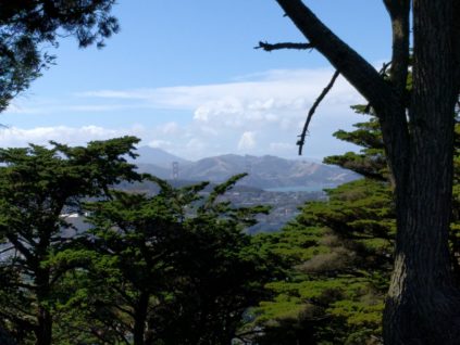 sf-buena-vista-park-view-ggb