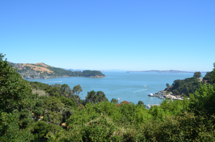 AI-panorama-tiburon