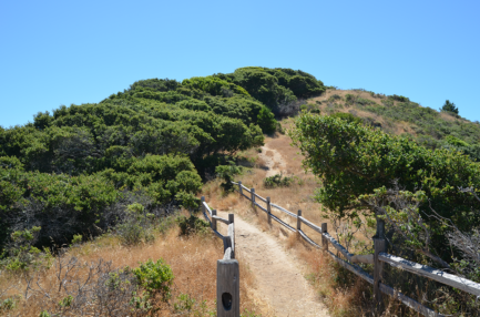 AI-path-sunset-trail