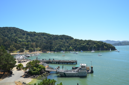 AI-port-boats