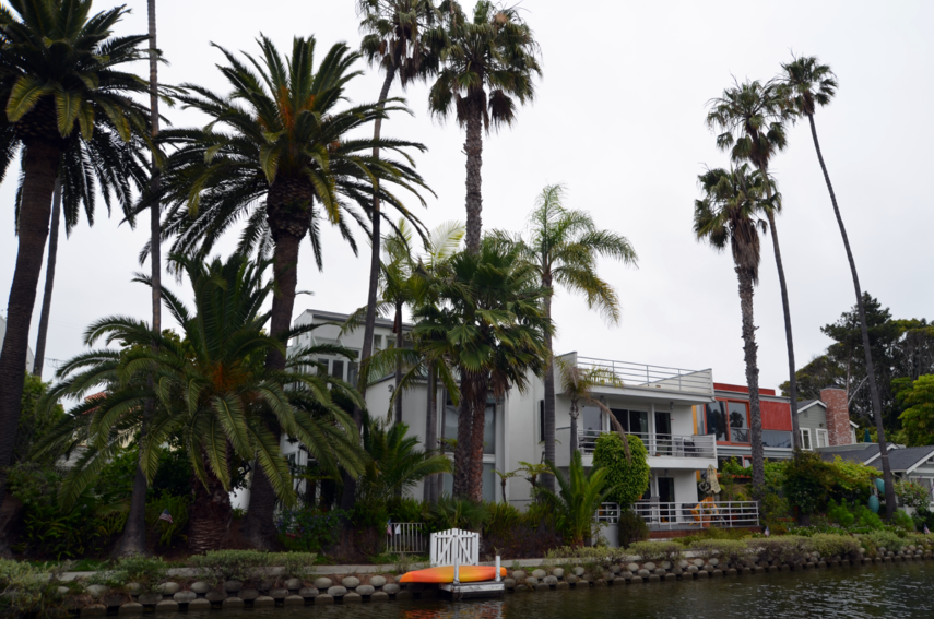 la-canals-house-palmtrees