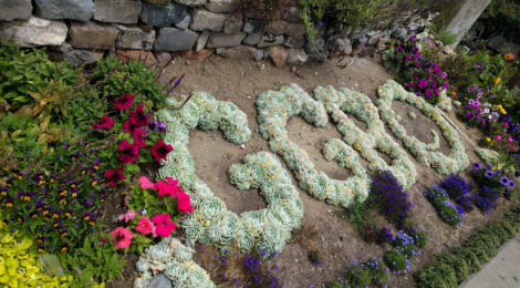 sf-ggb-welcome-center-fleurs