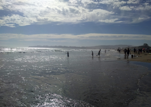 stinson-beach-vagues-4