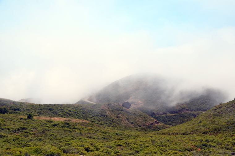 marin-hike-coastal-trail-fog-c-w-bound