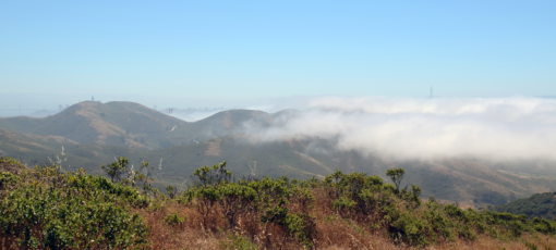 marin-rando-sf-skyline-fog