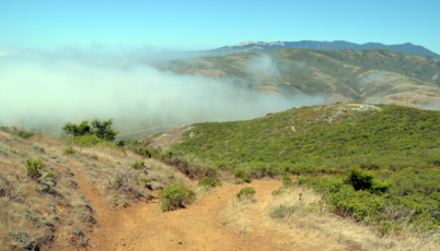 marin-rando-trail-fog