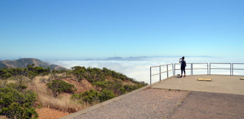 marin-rando-hill88-pauline