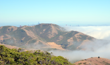 marin-rando-view-sf