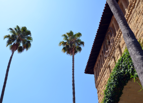 stanford-palm-trees-building