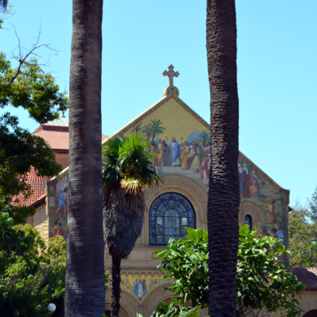 stanford-church-palm-trees