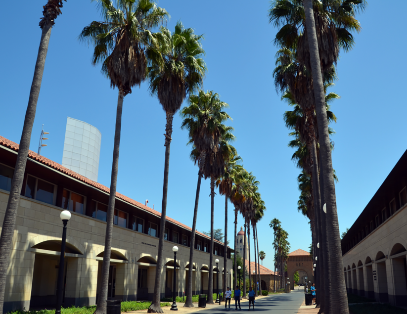 stanford-campus-buildings-palm-trees