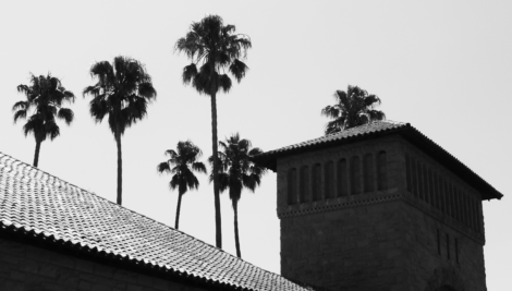 stanford-nb-palm-trees-tower
