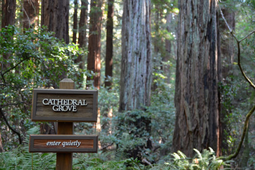 mw-cathedral-cove-sign