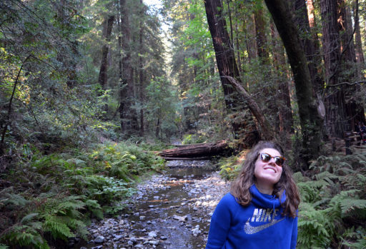 mw-bridge-stream-pauline