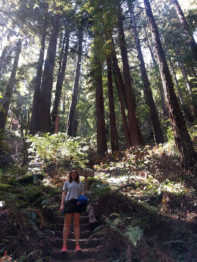 mw-fern-canyon-stairs-pauline