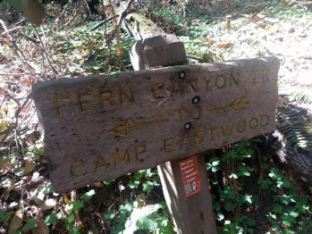 mw-fern-canyon-sign