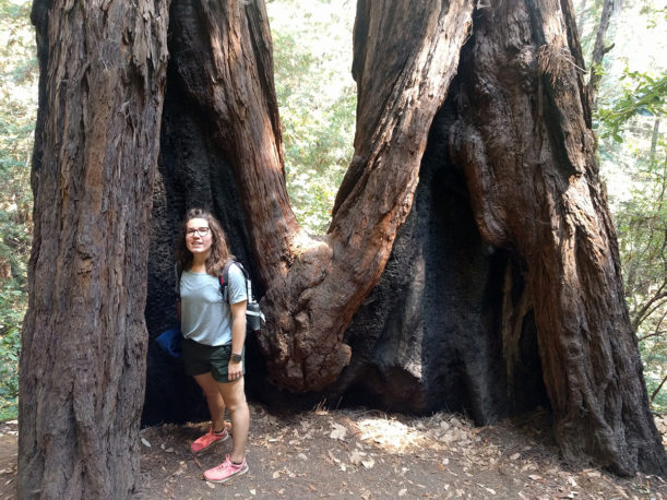 mw-trunk-holes-pauline