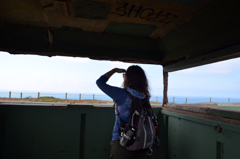 bonita-rodeo-battery-view-pauline