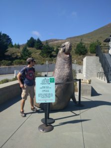 bonita-rodeo-marine-mammal-center-seal-bastien