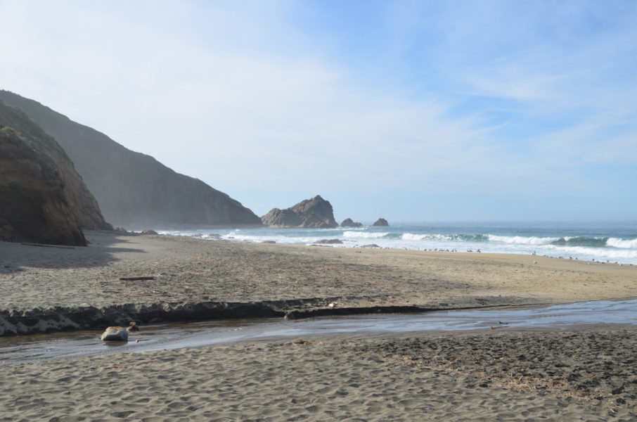 point-reyes-mcclures-beach