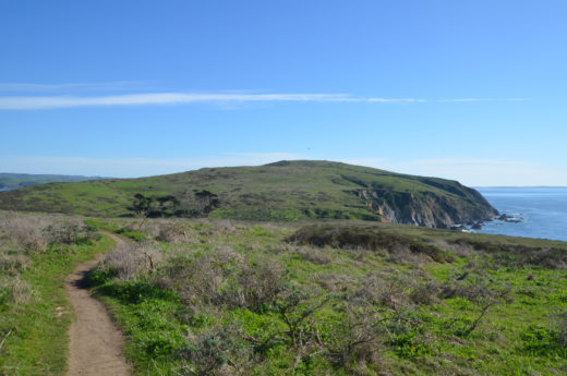 point-reyes-tomales-point-hike