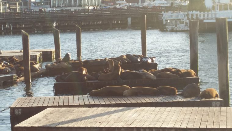 sf-fisherman-wharf-c-w-bound