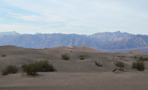 DeathValley-mesquite-dune