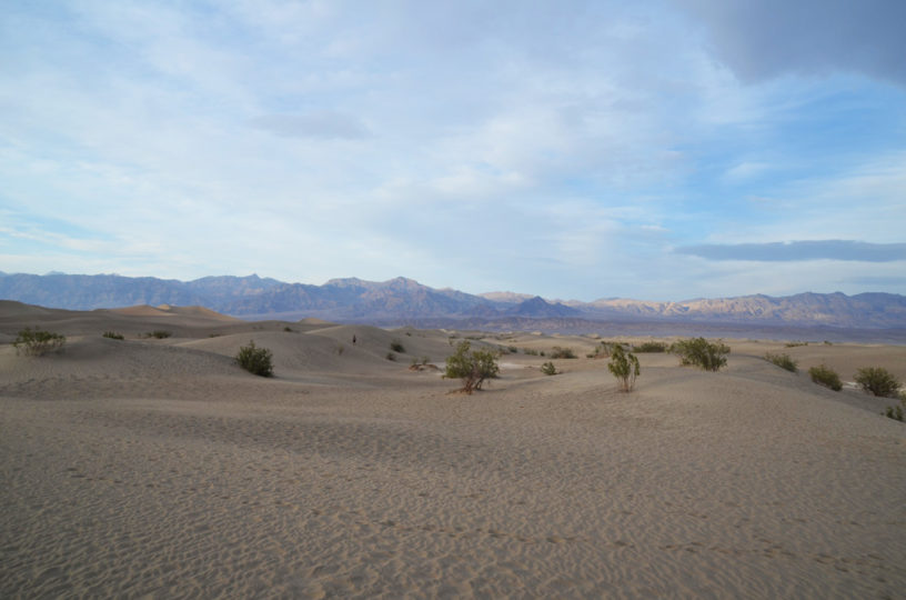 DeathValley-mesquite-dune