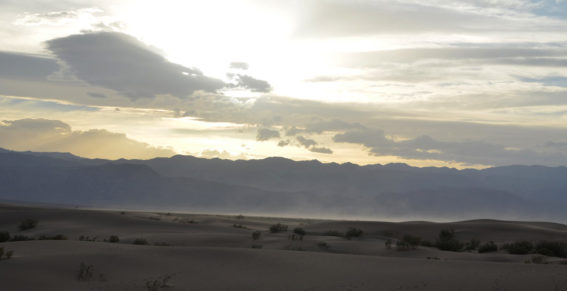DeathValley-mesquite-dune-wind