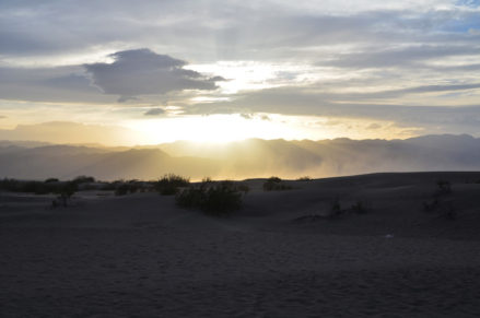 DeathValley-mesquite-dune-sunset
