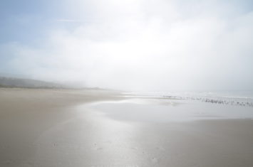 PC-limantour-beach-fog
