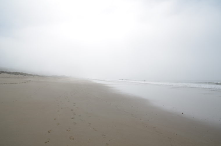 PC-limantour-beach-fog-c-w-bound
