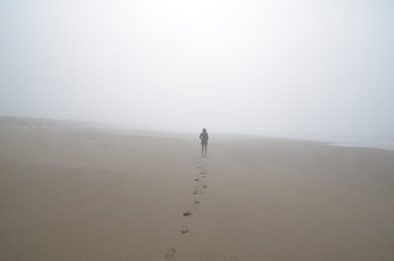PC-limantour-beach-fog-pauline