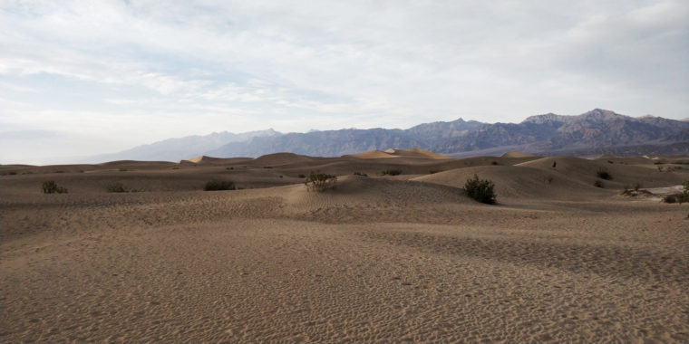 DeathValley-mesquite-dune-c-w-bound