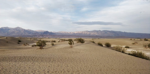 DeathValley-mesquite-dune