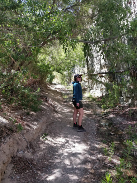 DeathValley-darwin-falls-pauline