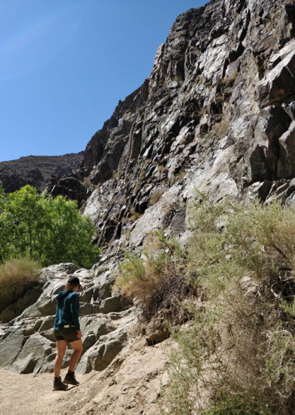 DeathValley-darwin-falls-pauline