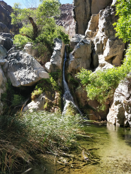 DeathValley-darwin-falls