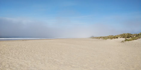 PC-limantour-beach-fog-sun
