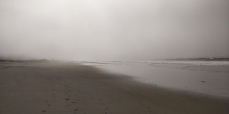 PC-limantour-beach-fog