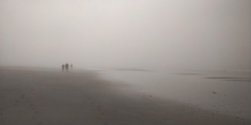 PC-limantour-beach-fog-silouhettes