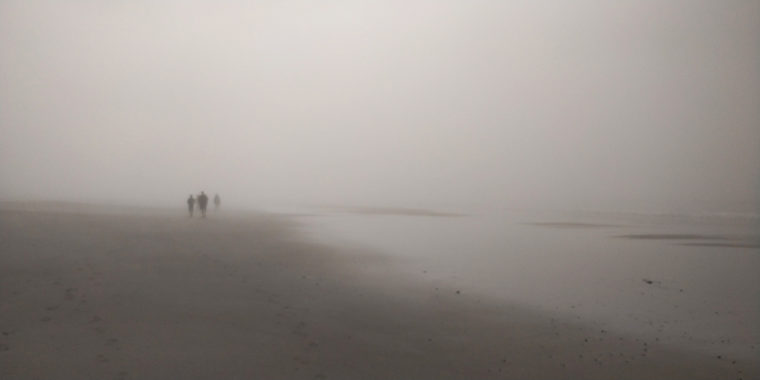 PC-limantour-beach-fog-silouhettes-c-w-bound