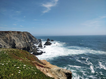 PC-bodega-head-flowers