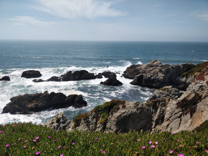 PC-bodega-head-flowers-pink