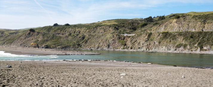PC-goat-rock-beach-sea-lions