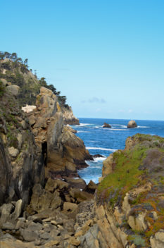 Point-Lobos-hidden-cove